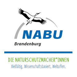 NABU Landesverband Brandenburg e.V.-Logo