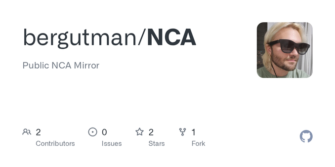 Public NCA Mirror. Contribute to bergutman/NCA development by creating an account on GitHub.