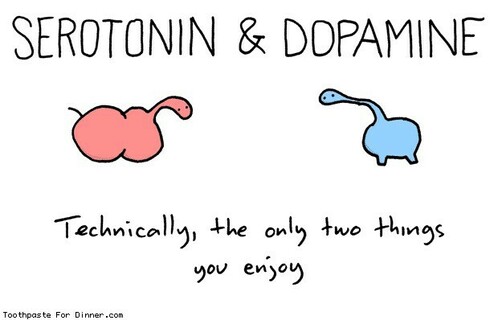 Two primordial blobs face each other under the title ‘Serotonin & Dopamine’ with the caption ‘Technically, the only two things you enjoy’.