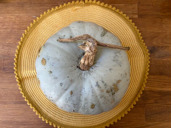 Large green pumpkin on a kitchen table. 