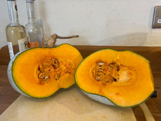 Green pumpkin cut in half, revealing juicy orange inside 