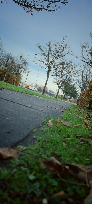 Nothing special, just a photo from a stroll on a cool autumnal [winter?] day. Photo taken at an angle from ground level depicting a pathway, fallen leaves, grass verges, and trees. It's an urban landscape.  The image is taken from the side of a pathway looking onto a road - the perspective being 'leading lines' towards a roundabout in the distance. Heavy vignetting applied. Well, why not!