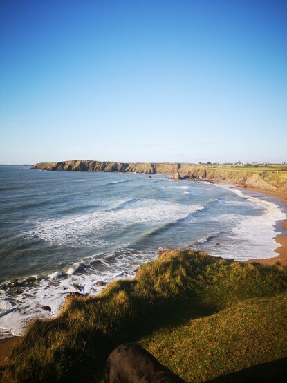 Carnivan bay