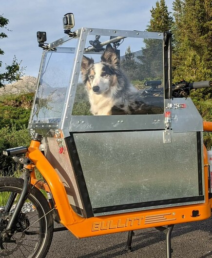 Dog sitting in a cargo bike box.