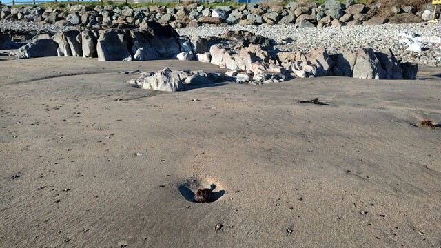 Clonea beach, Dec-11, 2022, 11 pm.
Sand in the foreground, smaller stones midway, wall of large stones in the back.