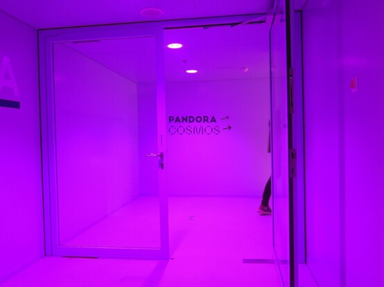 Pink is the dominant colour. We are looking towards a set of two glass doors, one of which is open. Facing us behind the doors is a wall with signs saying "Pandora" and "Cosmos", each with an arrow pointing to the right. Someone can be seen disappearing off to the right in the direction indicated by the arrows, the back of their leg just visible.