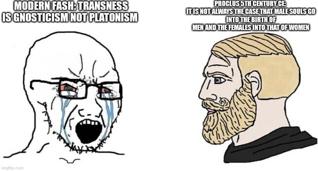 Crying wojack vs Chad meme

Crying wojack text on left titled "Modern Fash: Transness is Gnosticism not Platonism" while bearded Chad to right of meme has text "Proclus 5th Century CE: It is not always the case that male souls go into the birth of men and the females into that of women."