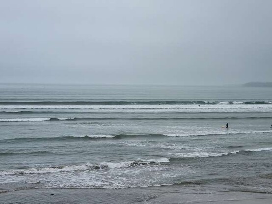 Lots of small lines