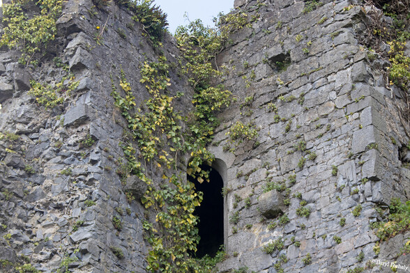 A window in the ruins of an old Castle 