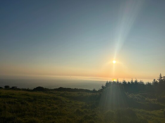 View over Dublin Bay at sunrise, trees in the foreground.