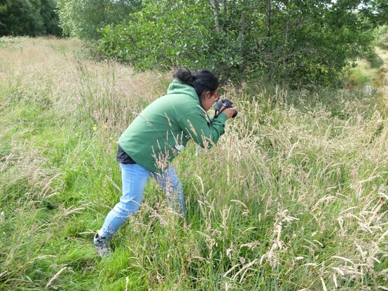 Person taking a photo of a butterfly in long grass.