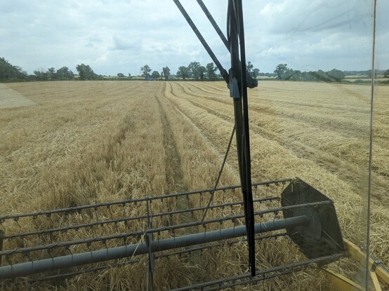 View from the combine cab