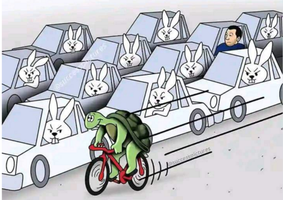 Cartoon of a traffic jam of many cars, each with one hare in it, outpaced by a happy tortoise on a bike