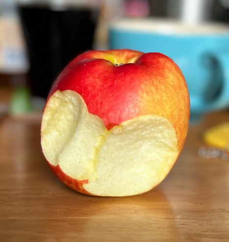 A few bites from a wonderful red-yellow coloured apple with white texture. 