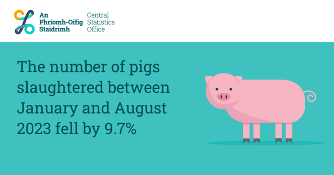 Image of a pig and text saying "The number of pigs slaughtered between January and August 2023 fell by 9.7%"