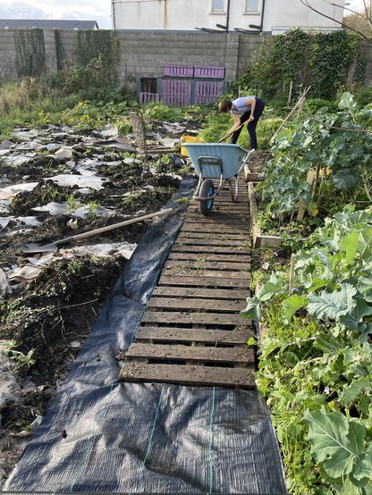 Pallet path partly lifted with membrane being  put under it.  