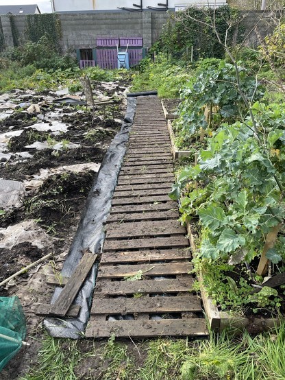 Pallet path partly lifted with membrane under it.  