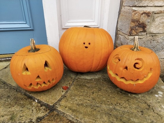 Pumpkins 🎃 