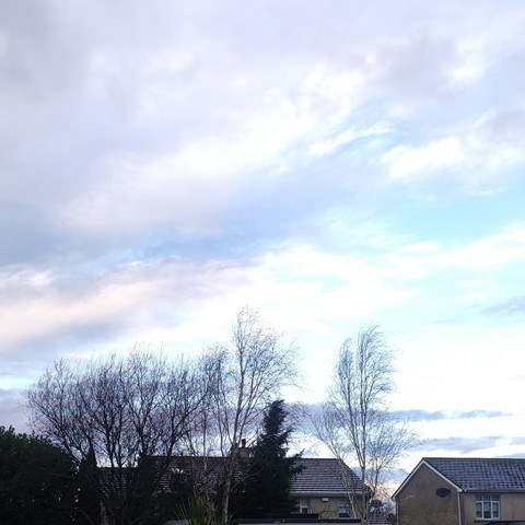 An average photo of a December day in Ireland.
Most of the photo is taken up with the sky, with the roofs of a few houses and some trees visible in the bottom third. 
The sky has a small amount of blue breaking through grey clouds.
This could go either way!
