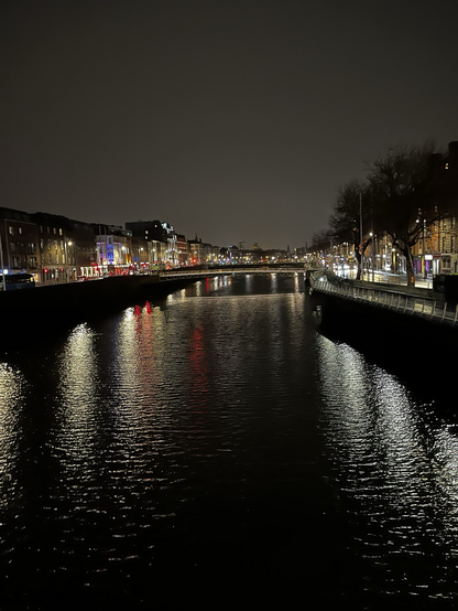 River lighted by the city on both sides. Bridge in distance. 