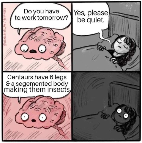 4 panel comic. Panels 1 and 3 are a stylised brain talking. 2 and 4 a person in bed at night. 

1. Do you have work tomorrow?

2. Yes, please be quiet. 

3. Centaurs have 6 legs and a segmented body, making them insects. 

4. *Stares into the darkness, unsleeping*