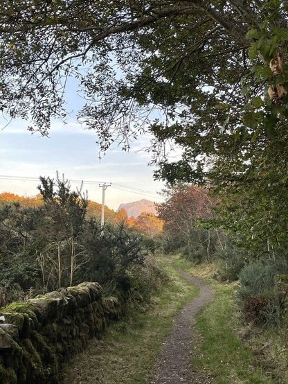 A grassy track, small stone wall to the left and oak and Rowan trees to the right. A sunset backlit mountain flows in the foreground, framed by gold and russet trees 