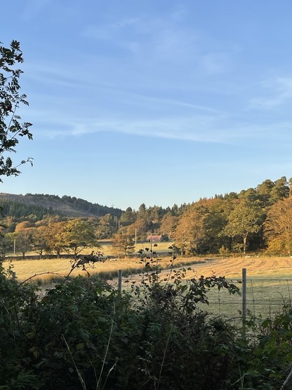Golden fields beyond a hedge, a few weeks after hay-cutting. Woods beyond are shades of moss and gold, and the autumn evening sun lights up the landscape 