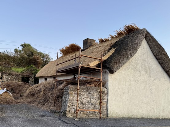 Thatched roofed cottage with a partially replaced thatch roof viewed from the side with a large blank gable end nearest the camera.    Large piles of reeds are piled in front of the cottage hiding the door and most of the windows partially obscured behind a stone wall between the roadside and the front of the cottage. A section of modern scaffolding is set up spanning the wall beside the front of the cottage to provide easy working space beside the roof. A single bundle of lashed up reeds waiting to be installed rests between the scaffolding and the one remaining old section of thatch on the side of the roof nearest the camera. 

Sheaves of partially tied up reeds extend above the top of the roof from the far side. 

A partially ruined stone shed can be seen at the rear of the cottage with a line of bushes behind it. 