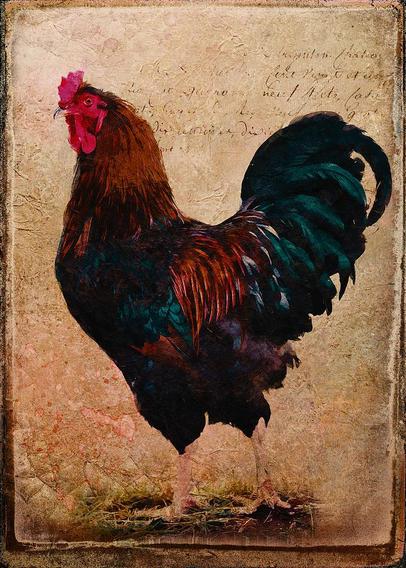 A large rooster with brown and black "beetle-sheen" plumage is portrayed against a textured vintage-style beige background with ephemera writing.