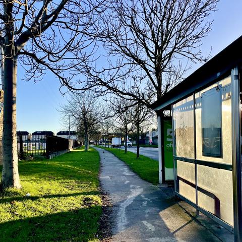 A tree-lined path with a bus stop on the right. The trees are bare, indicating late autumn or winter. The scene is well-lit, with a clear blue sky and a grassy area beside the walkway. In the distance, a road is visible