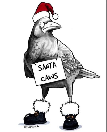 Cartoon of a bewildered looking rook wearing a Santa hat and boots, with a sign with the words "Santa Caws" around its neck.