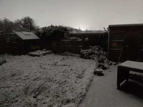 A snowy backgarden. The sky is white, and you can make out branches on the trees