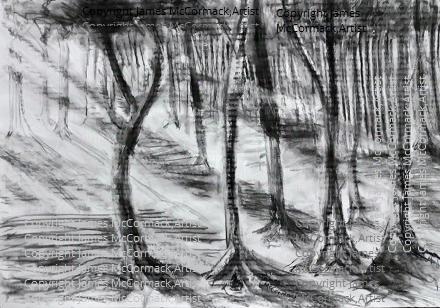 G.
Morning Sun - charcoal drawing.

Morning Sun in black and white, Charcoal drawing on paper. Morning sun streams through the trees.
