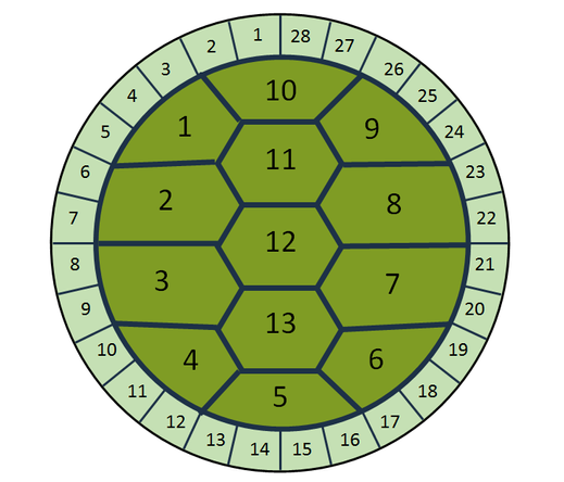 A diagram of a turtle shell. Most of the turtle's back is made of 13 large scales, numbered 1 to 13. The outer edge has 28 small scales, numbered 1 to 28.