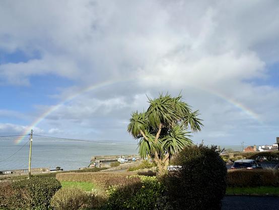 Rainbow against a bright but cloudy sky. The rainbow arc spans a point from the far left to just short of the far right of the picture covering about 90 degrees of the arc. A cordalyne Australensis is framed inside the Center of the arc and the view behind that is of Helvick harbour and the eastern side of Dungarvan bay. The Copper Coast extends off into the distance beyond the sea. 