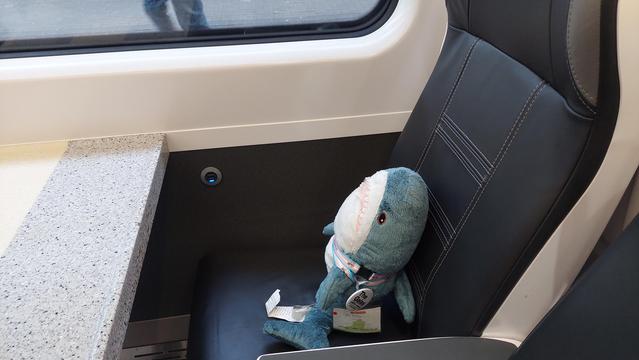 Dr. Blåhaj sitting in a window seat of a train, the window is quite a few inches above her. Through the window you can see the platform, and some legs.