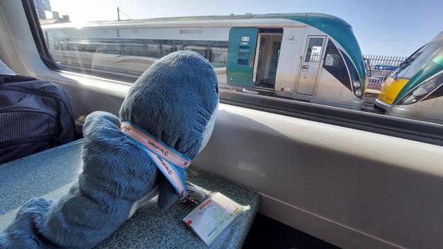 Dr. Blåhaj on the table of a train, looking out the window at another stopped train.