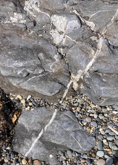  Pic shows grey rocks on a bed of mostly grey pebbles. The rock has a white almost straight seam running through it
