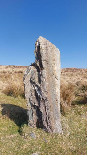A standing stone on a dry tussocky landscape.