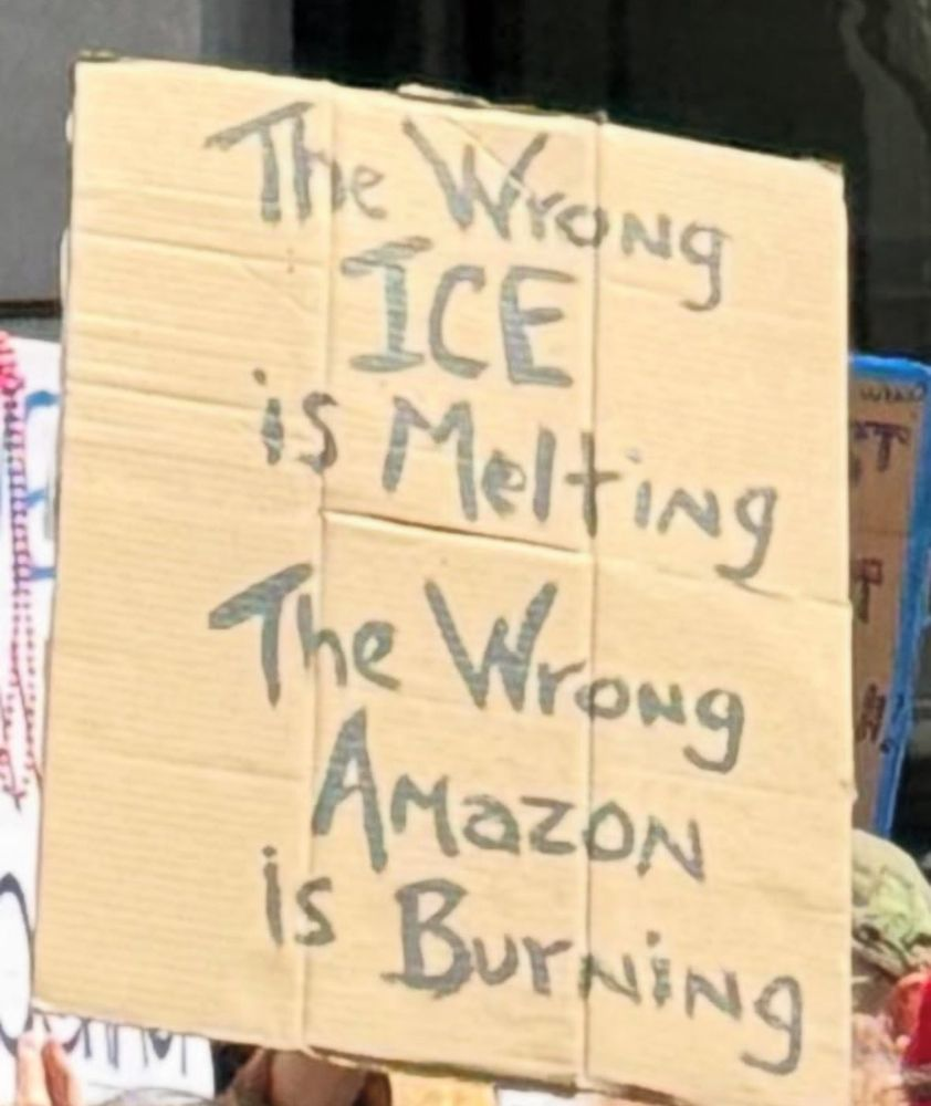 Placard at a protest saying: "The wrong ICE is meting, the wrong Amazon is burning." 