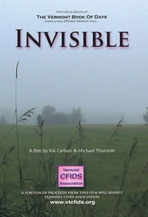 Invisible documentary DVD cover 