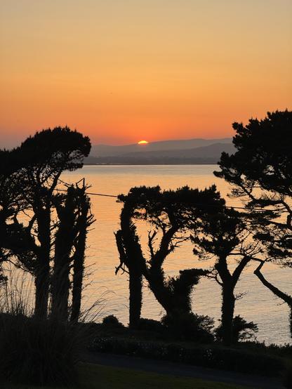 A picture of the sunset just as the sun drops behind a line of distant mountains beneath a deep orange sky. 

A line of trees is silhouetted in the foreground in front of an expanse of sea. 