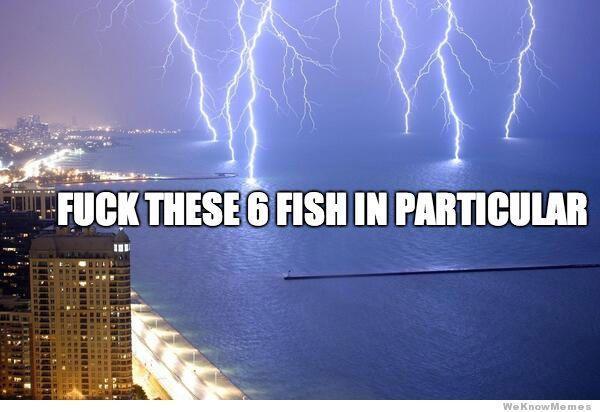 Lightning striking six points in the sea, with text reading "Fuck these 6 fish in particular".
