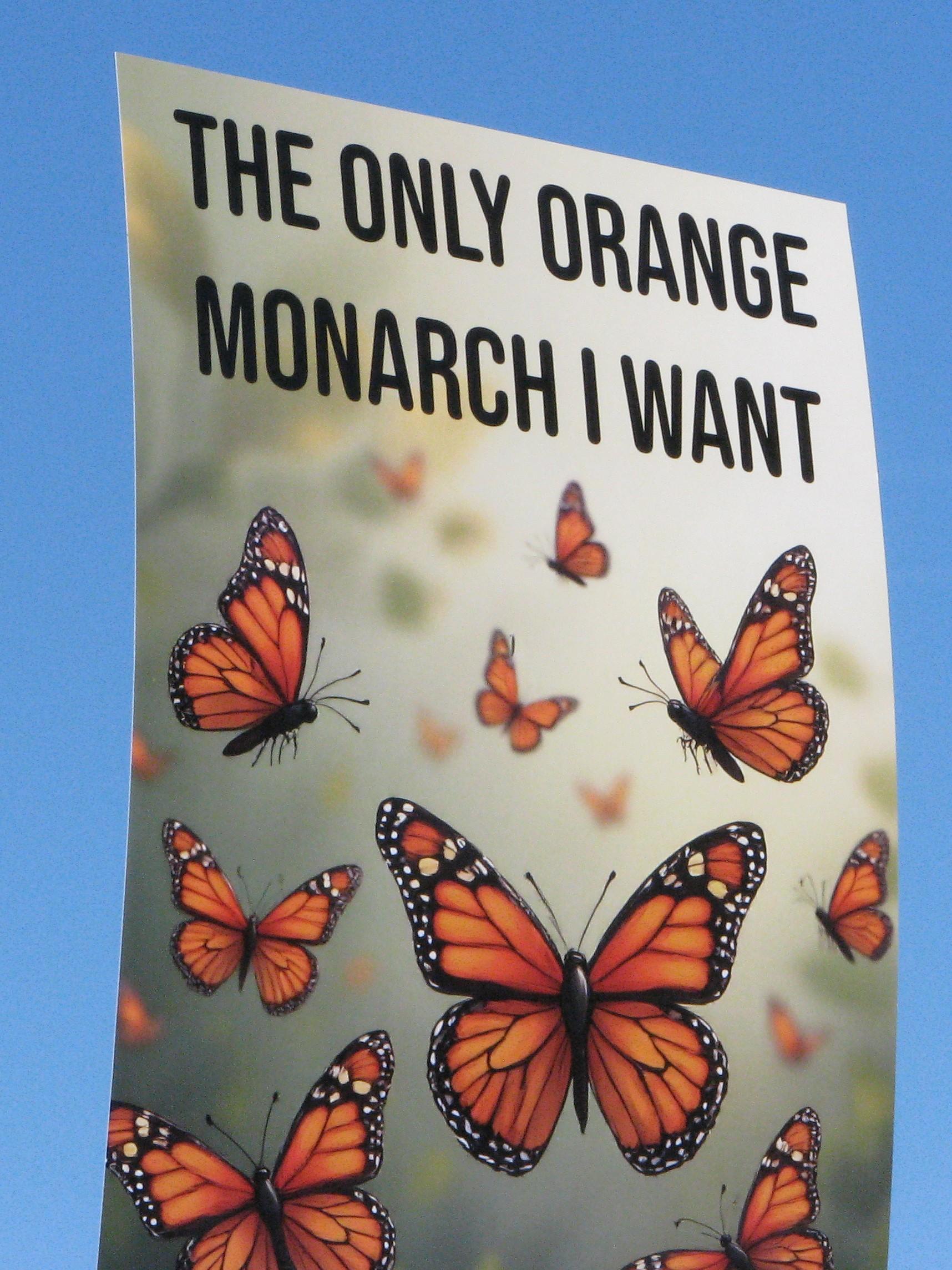 Protest sign which reads "The only orange monarch I want" above a bunch of monarch butterflies on a green background.