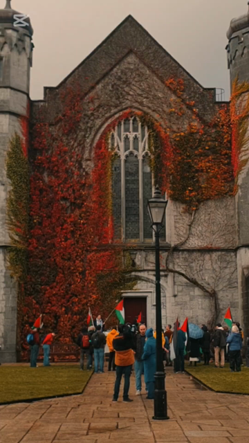 Denman Rooke at the University of Galway Quad with other protestors