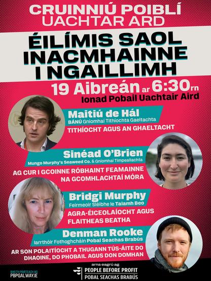 poster graphic of the meeting in Irish
