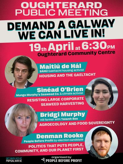 poster graphic of the meeting in English