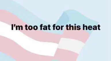 Text: "I'm too fat for this heat".
The background has a transgender flag, which adds nothing to the post. 