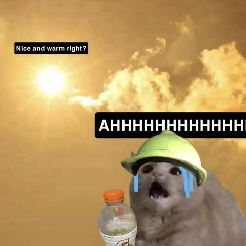 Meme of a cat screaming wearing a hard hat holding a bottle of Gatorade with sweat coming down its face
The ‘sun’ asks “Nice and warm right?” With the cat responding “AHHHHHHHHHHHHH”