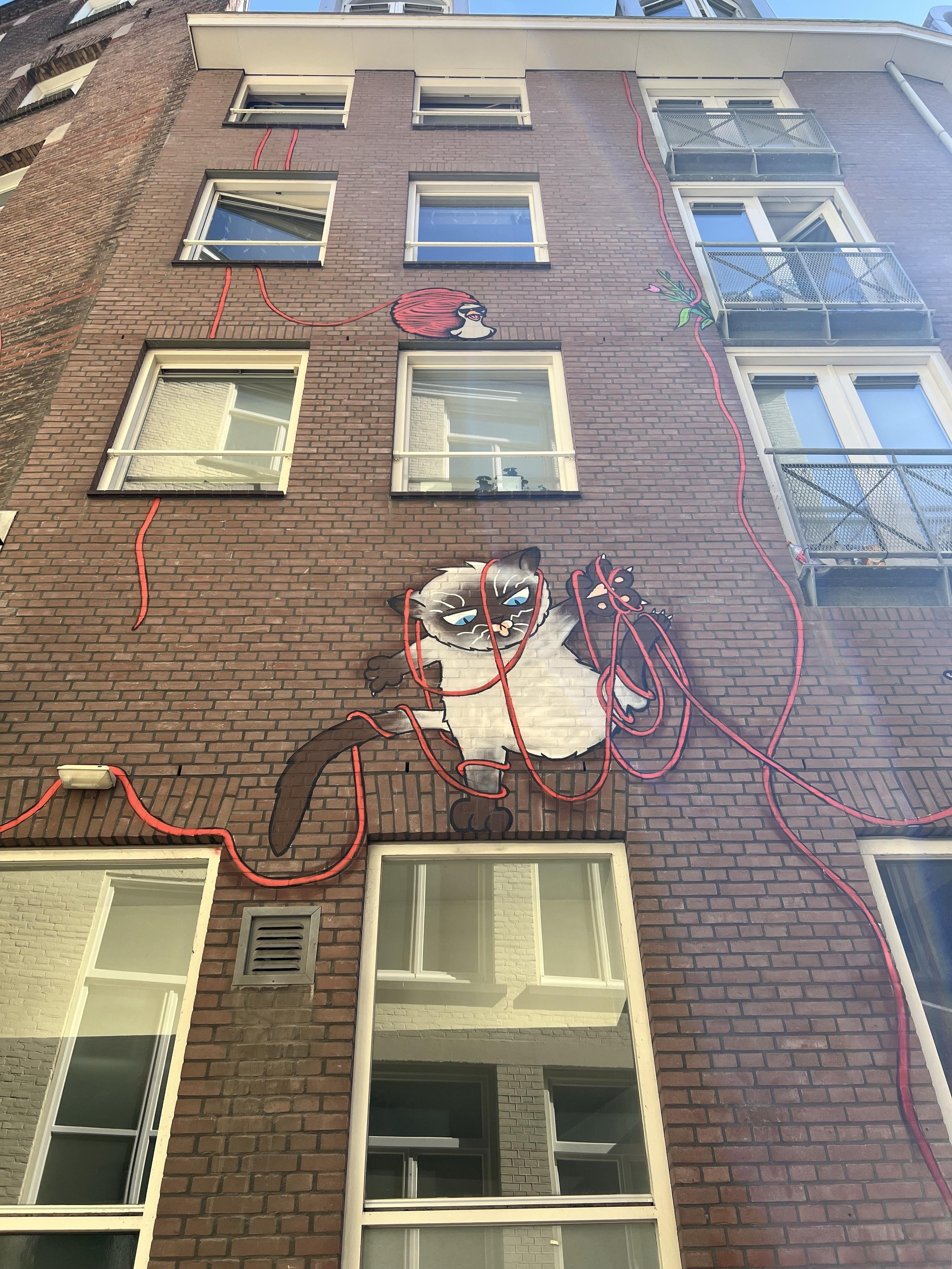 Street art of a beige cat caught up in some red wool. It sits on top of windows of office buildings